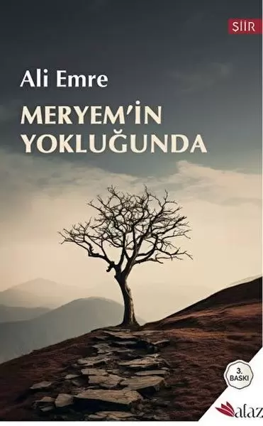 meryem-in-yoklugunda-47378