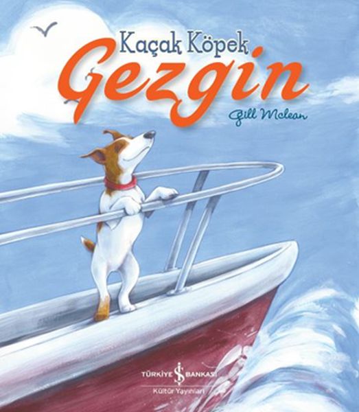 kacak-kopek-gezgin