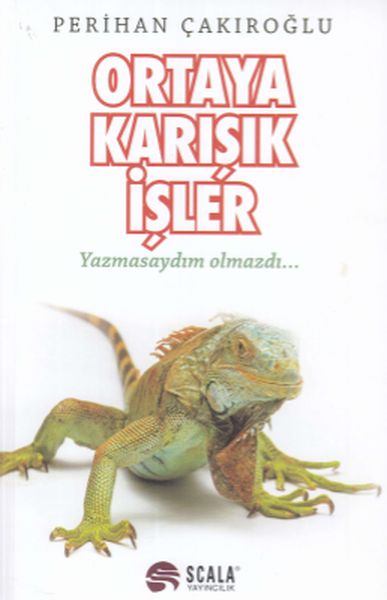 ortaya-karisik-isler