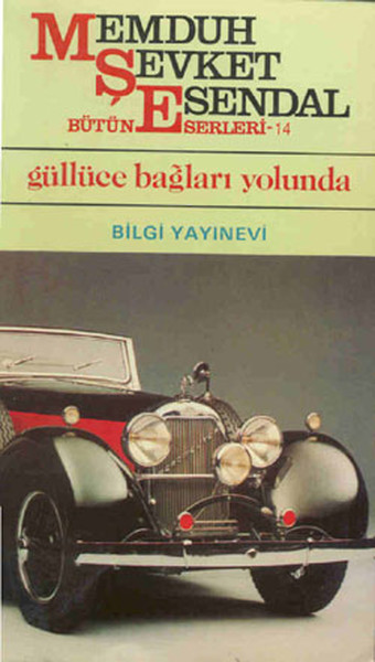 gulluce-baglari-yolunda