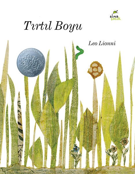 tirtil-boyu