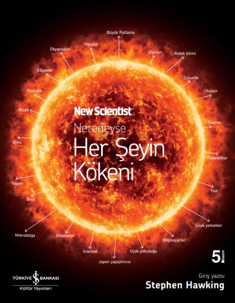 neredeyse-her-seyin-kokeni