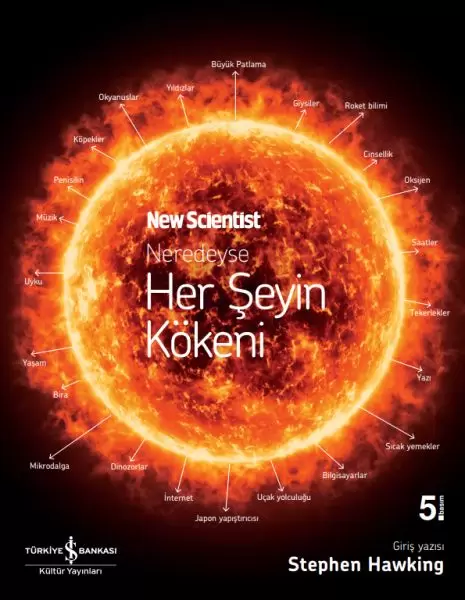 neredeyse-her-seyin-kokeni
