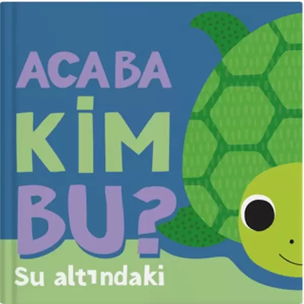 acaba-kim-bu-su-altindaki
