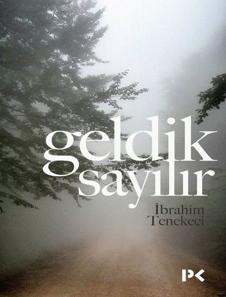 geldik-sayilir