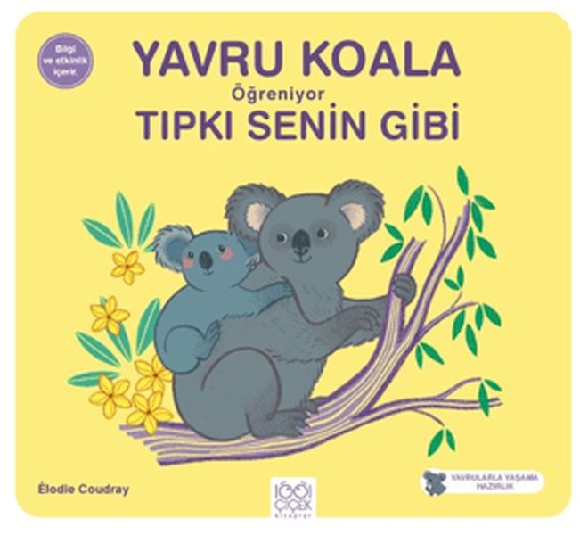 yavru-koala-ogreniyor-tipki-senin-gibi