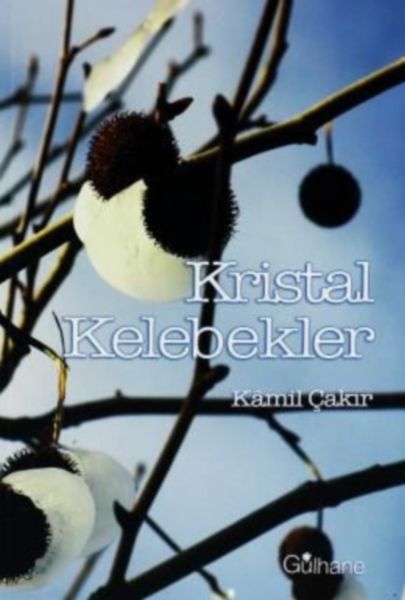 kristal-kelebekler