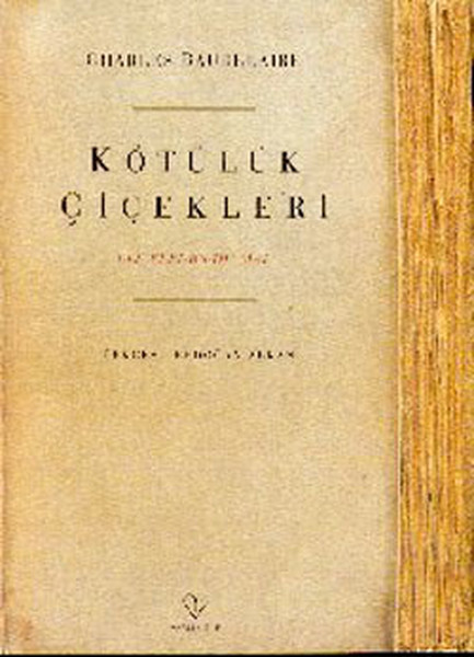 kotuluk-cicekleri-171902