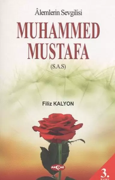 mevlana-ve-mesnevi-gercegi