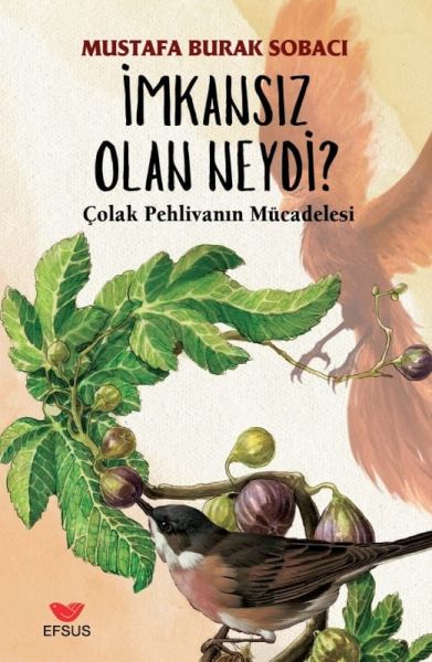 imkansiz-olan-neydi