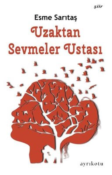 uzaktan-sevmeler-ustasi