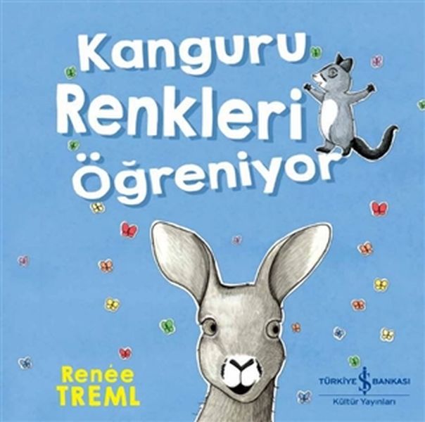 kanguru-renkleri-ogreniyor