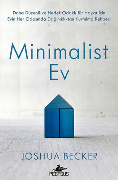 minimalist-ev