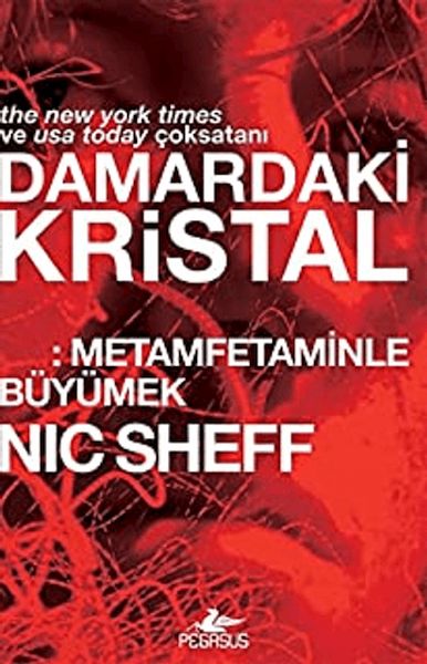 damardaki-kristal-metamfetaminle-buyumek