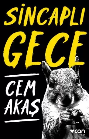 sincapli-gece