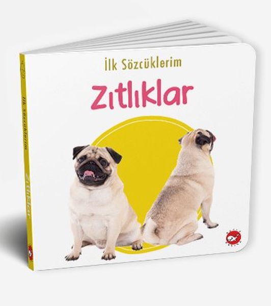 ilk-sozcuklerim-zitliklar