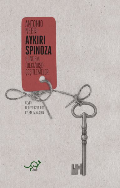 aykiri-spinoza-gundem-deki-disi-cesitlemeler