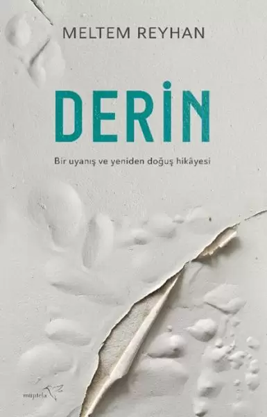 derin-93319