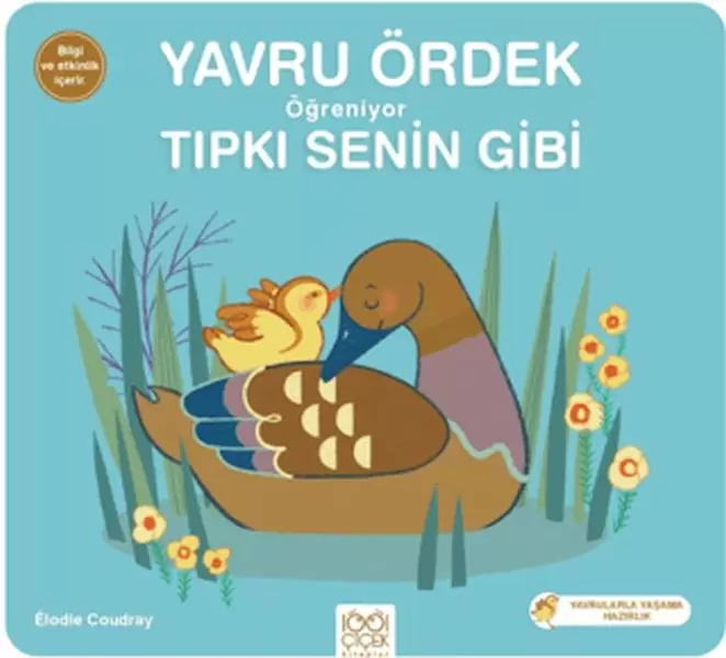 yavru-ordek-ogreniyor-tipki-senin-gibi