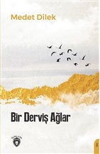 bir-dervis-aglar