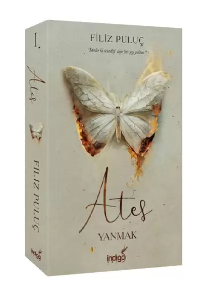 ates-yanmak