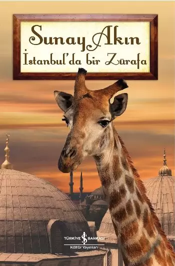 istanbul-da-bir-zurafa