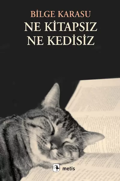 ne-kitapsiz-ne-kedisiz