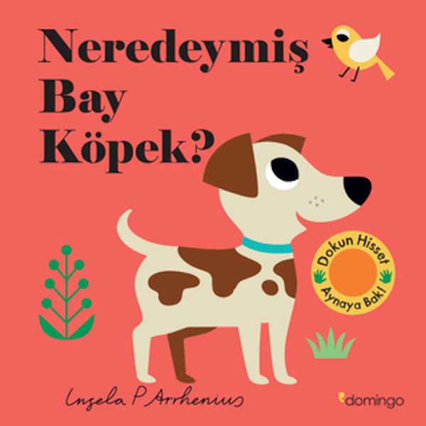 neredeymis-bay-kopek