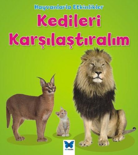 hayvanlarla-etkinlikler-kedileri-karsilastiralim