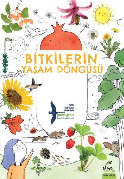 bitkilerin-yasam-dongusu