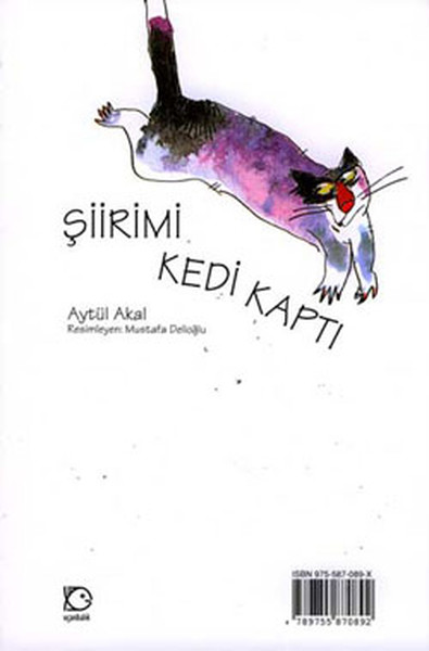 siirimi-kedi-kapti