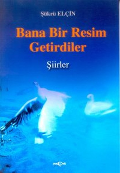 bana-bir-resim-getirdiler