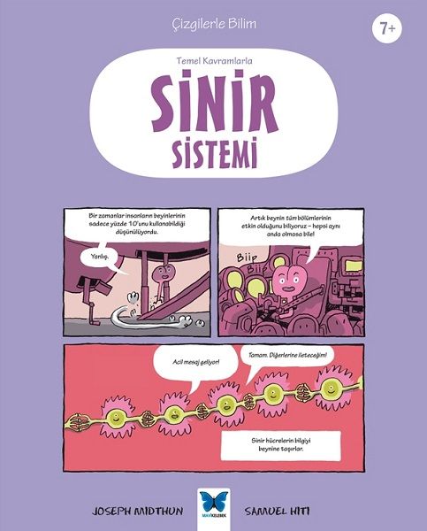 temel-kavramlarla-sinir-sistemi