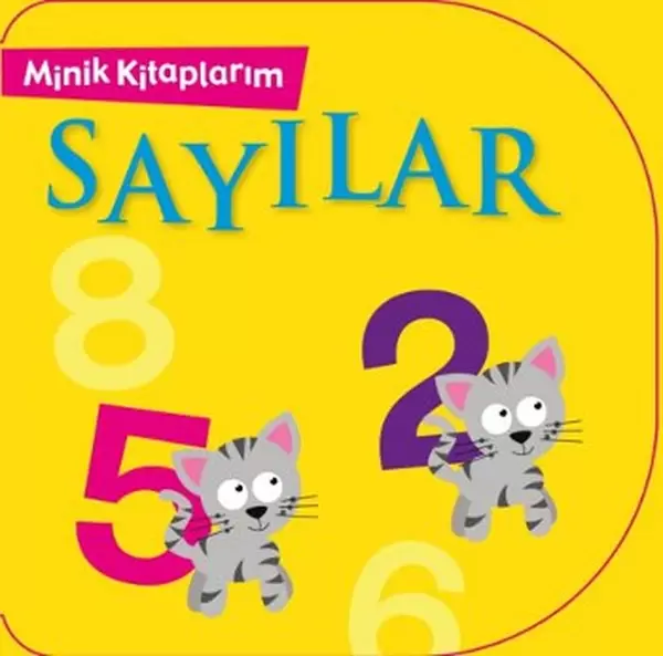 minik-kitaplarim-sayilar-216320