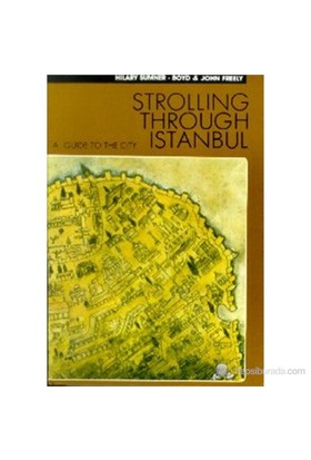 strolling-through-istanbul-a-guide-to-the-city