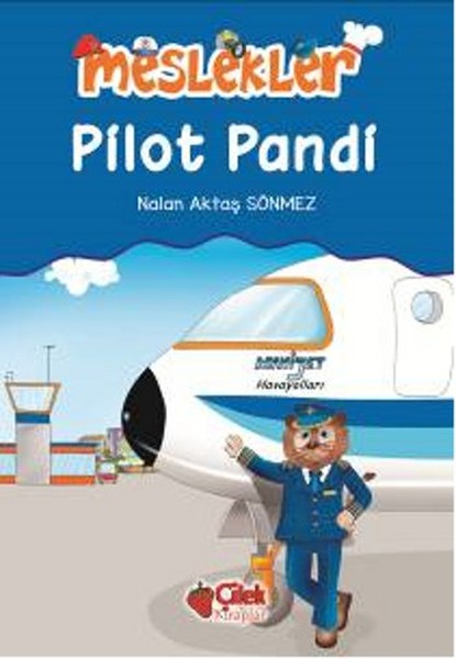 pilot-pandi-meslekler