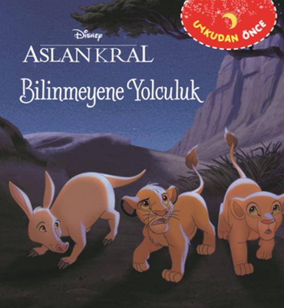 uykudan-once-aslan-kral-bilinmeyene-yolculuk