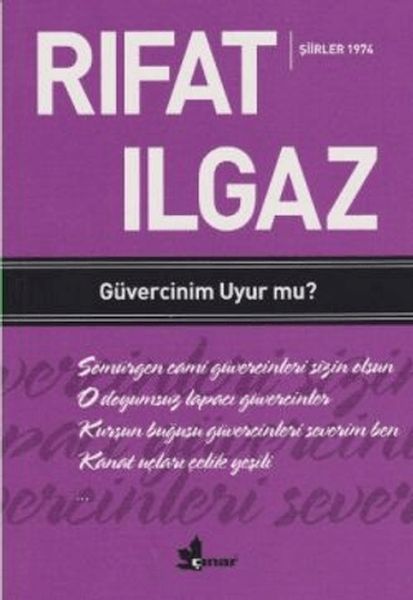 guvercinim-uyur-mu