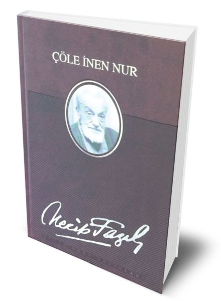 cole-inen-nur-deri-ciltli