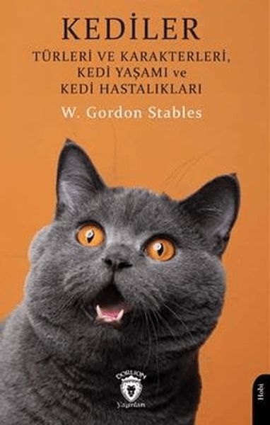 kediler-turleri-ve-karakterleri-kedi-yasami-ve-kedi-hastaliklari