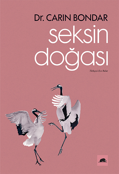 seksin-dogasi