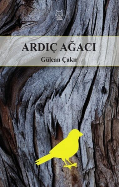 ardic-agaci