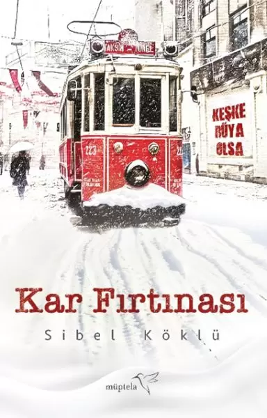 kar-firtinasi