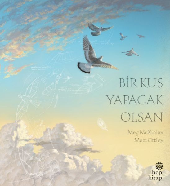 bir-kus-yapacak-olsan