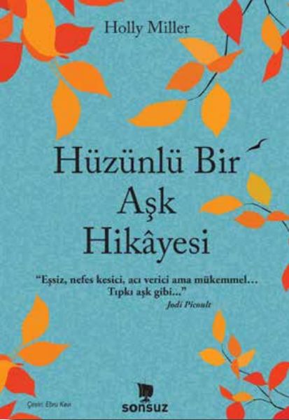 huzunlu-bir-ask-hikayesi