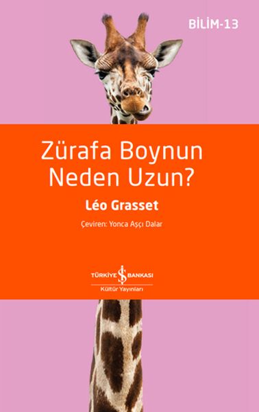 zurafa-boynun-neden-uzun