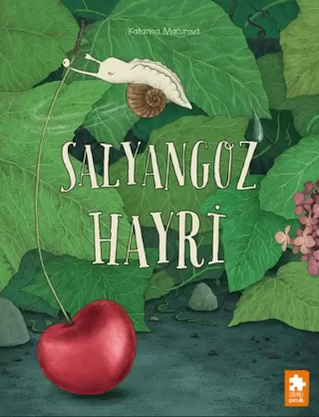 salyangoz-hayri