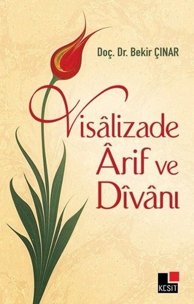 visalizade-arif-ve-divani