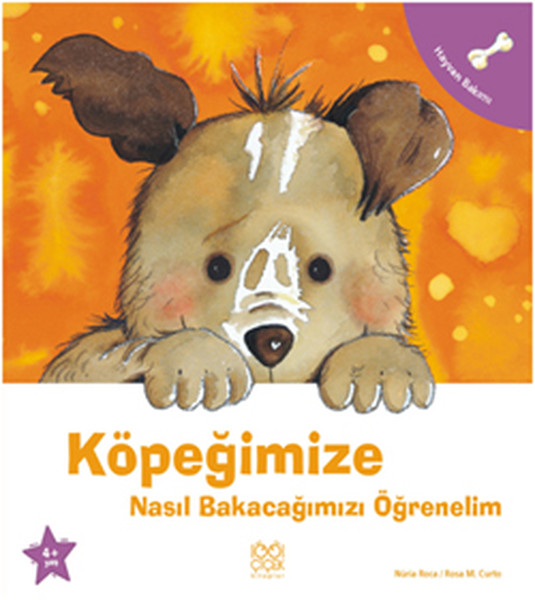 kopegimize-nasil-bakacagimizi-ogrenelim