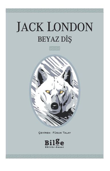 beyaz-dis-125703